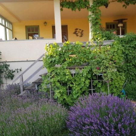 Ferienhaus Schiller Waren  Exterior photo